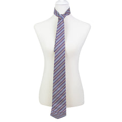 Hermes Silk Tie